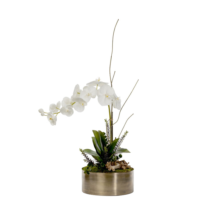 12" Taryn Brass Planter with Orchid and Driftwood Arrangement   AR1565