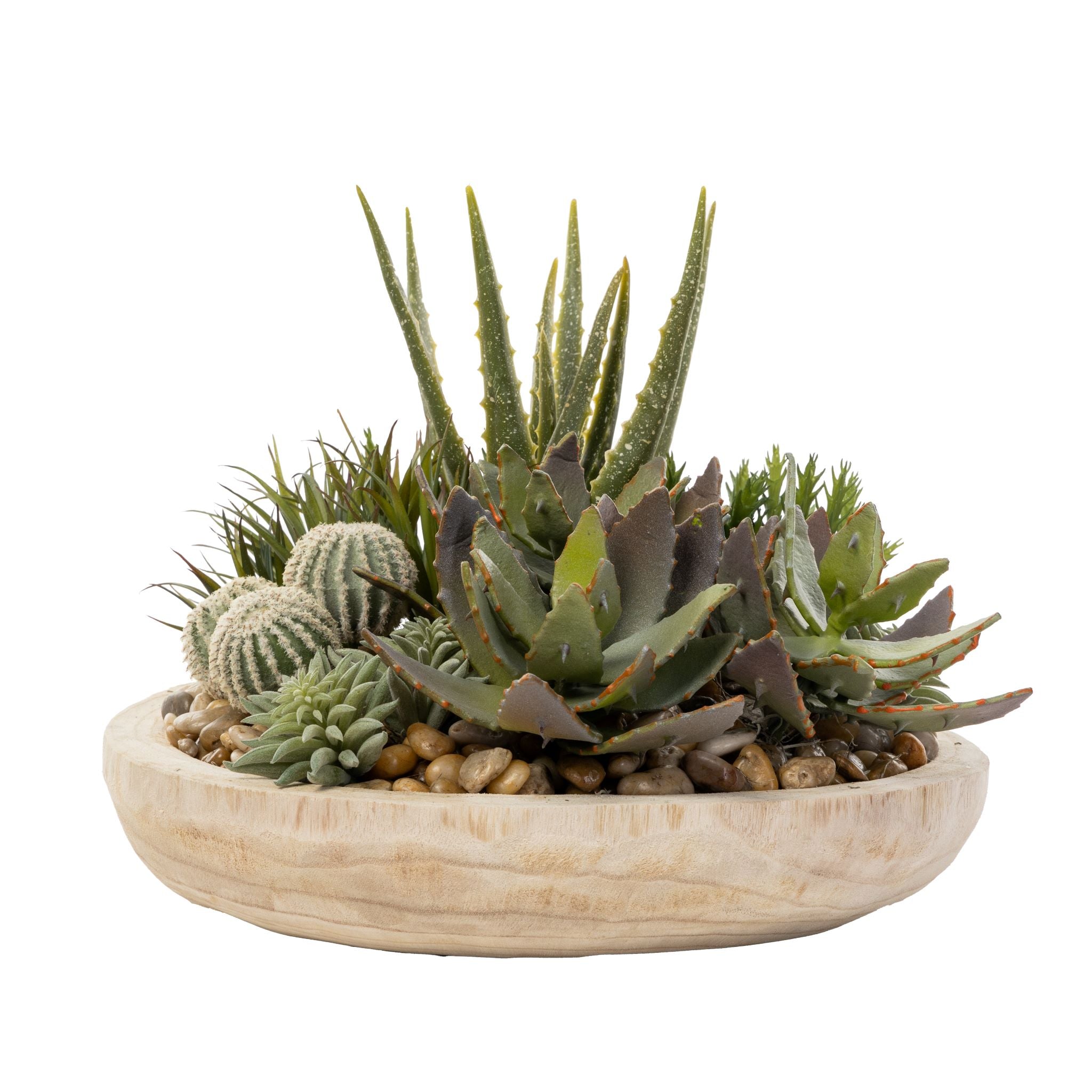 17" Sedona Bowl with Succulents and Cactus Arrangement   AR1568