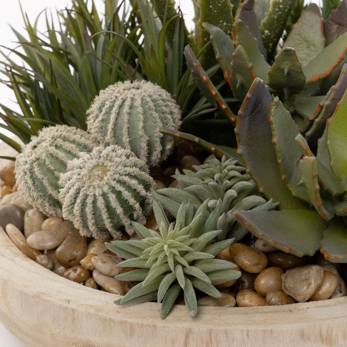 17" Sedona Bowl with Succulents and Cactus Arrangement   AR1568