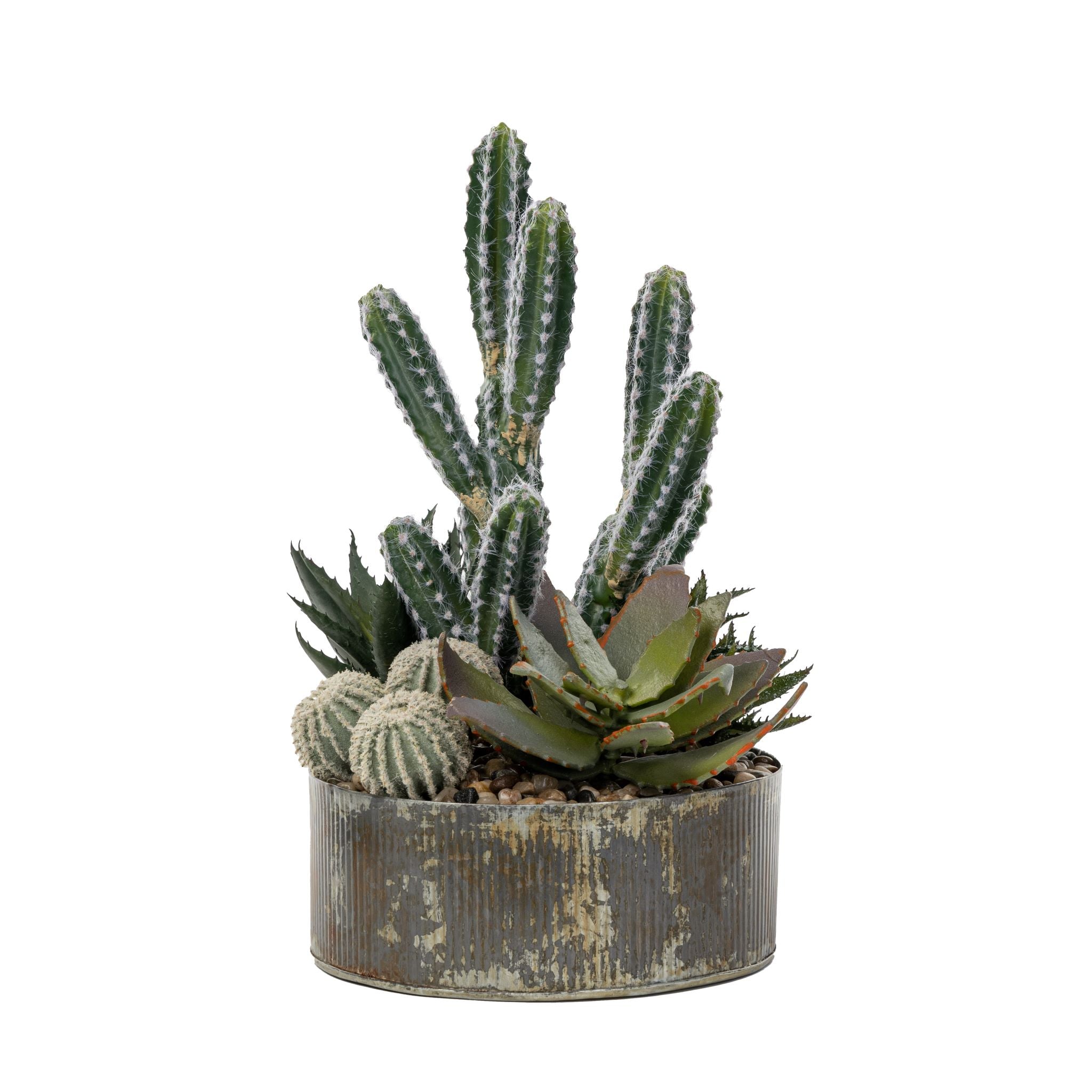 Rusty Galvanized Planter with Cactus Arrangement   AR1569