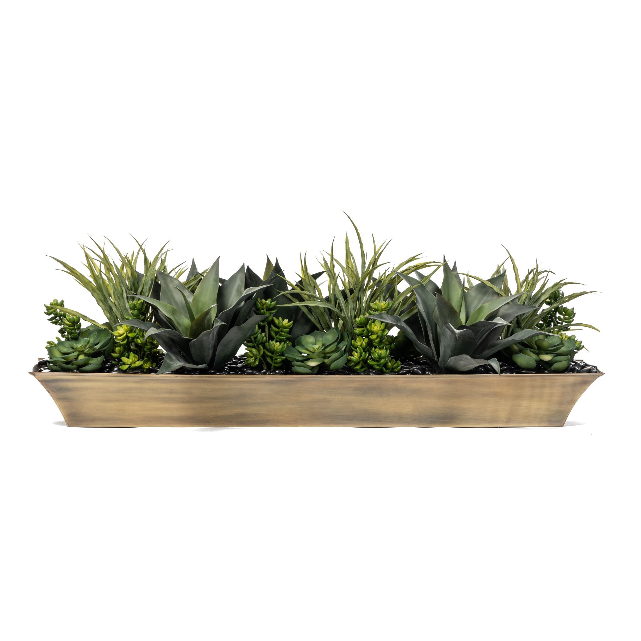 Succulent Arrangement in Luxe Brass Planter   AR1571