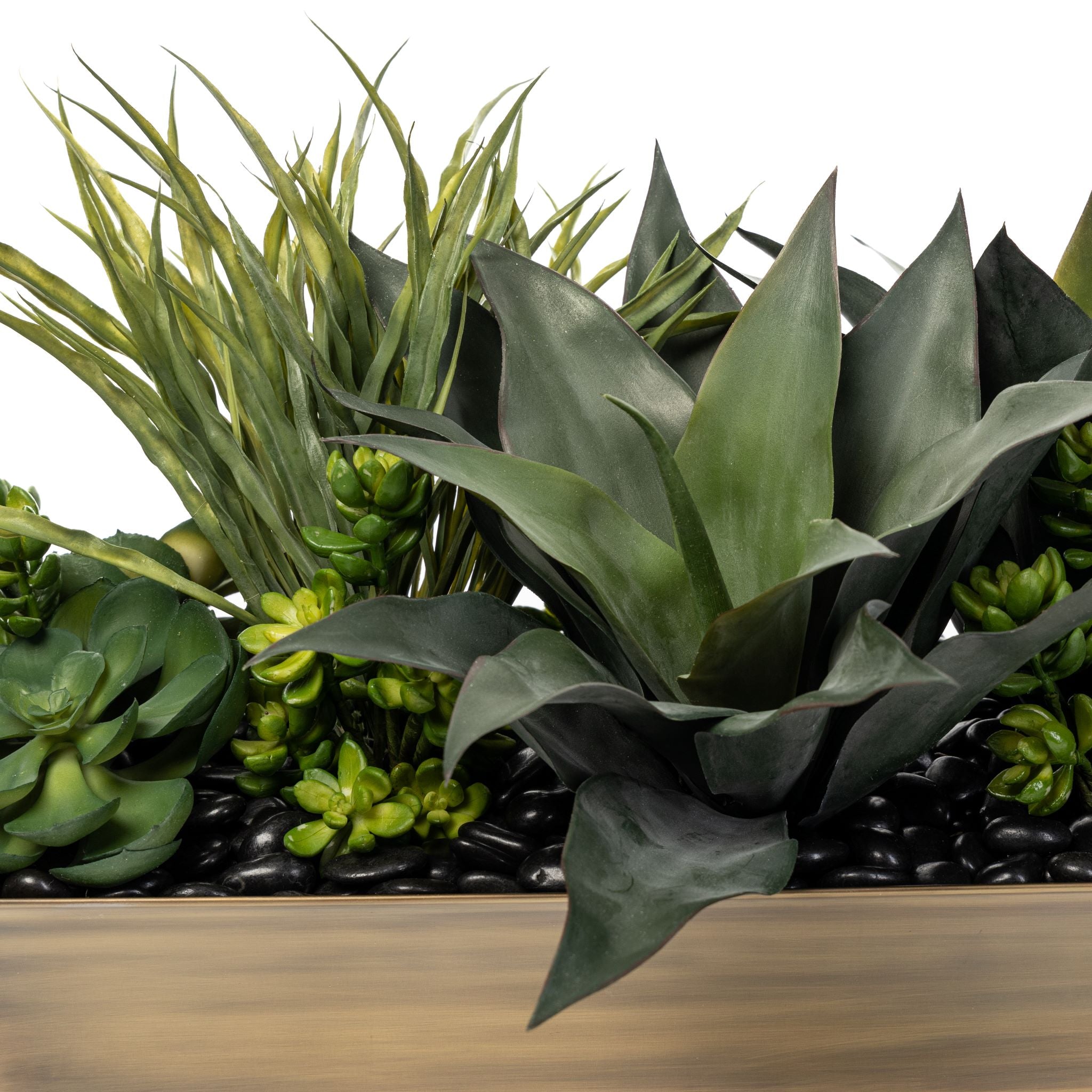 Succulent Arrangement in Luxe Brass Planter   AR1571