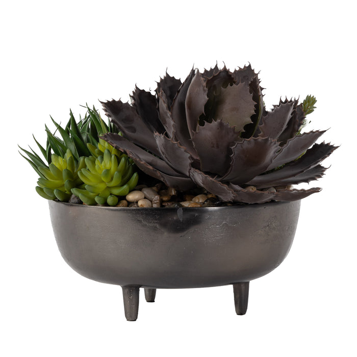 16" Ryder Bowl with Succulents AR1573