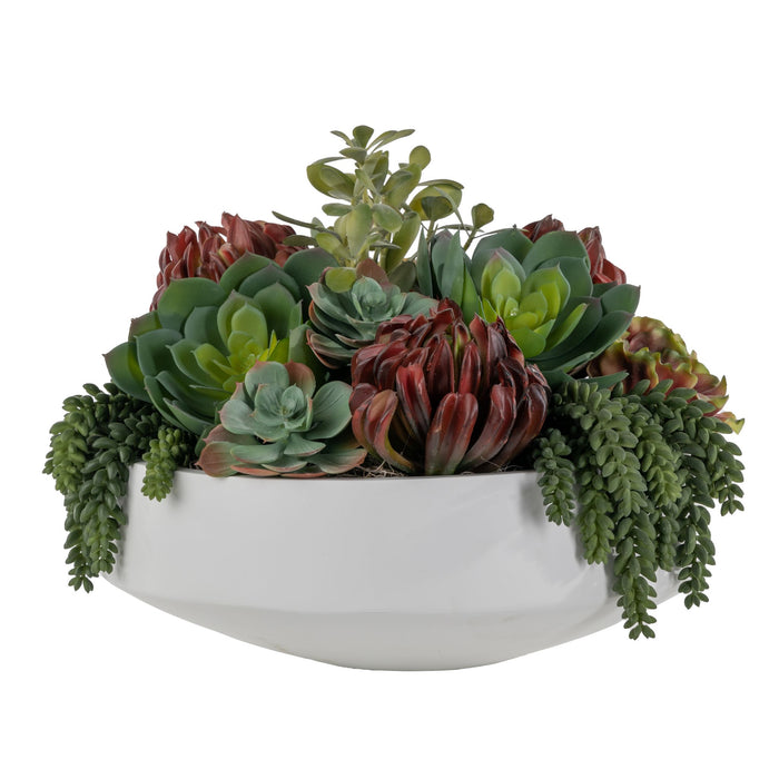 17" White Mack Bowl with Succulents AR1576