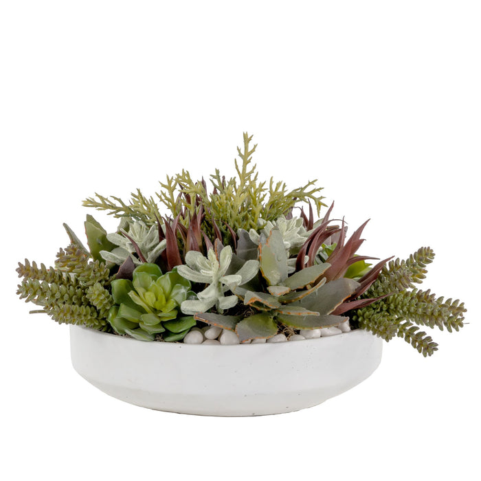 15" Zane Bowl with Succulents AR1577