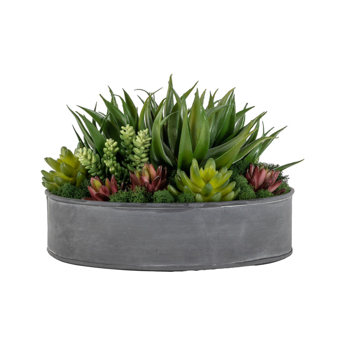 12" Nico Tray with Moss and Succulents AR1579