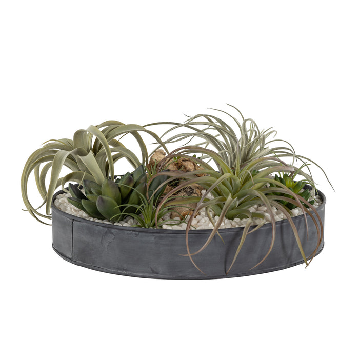 18" Nico Tray with White Rock and Succulents AR1581