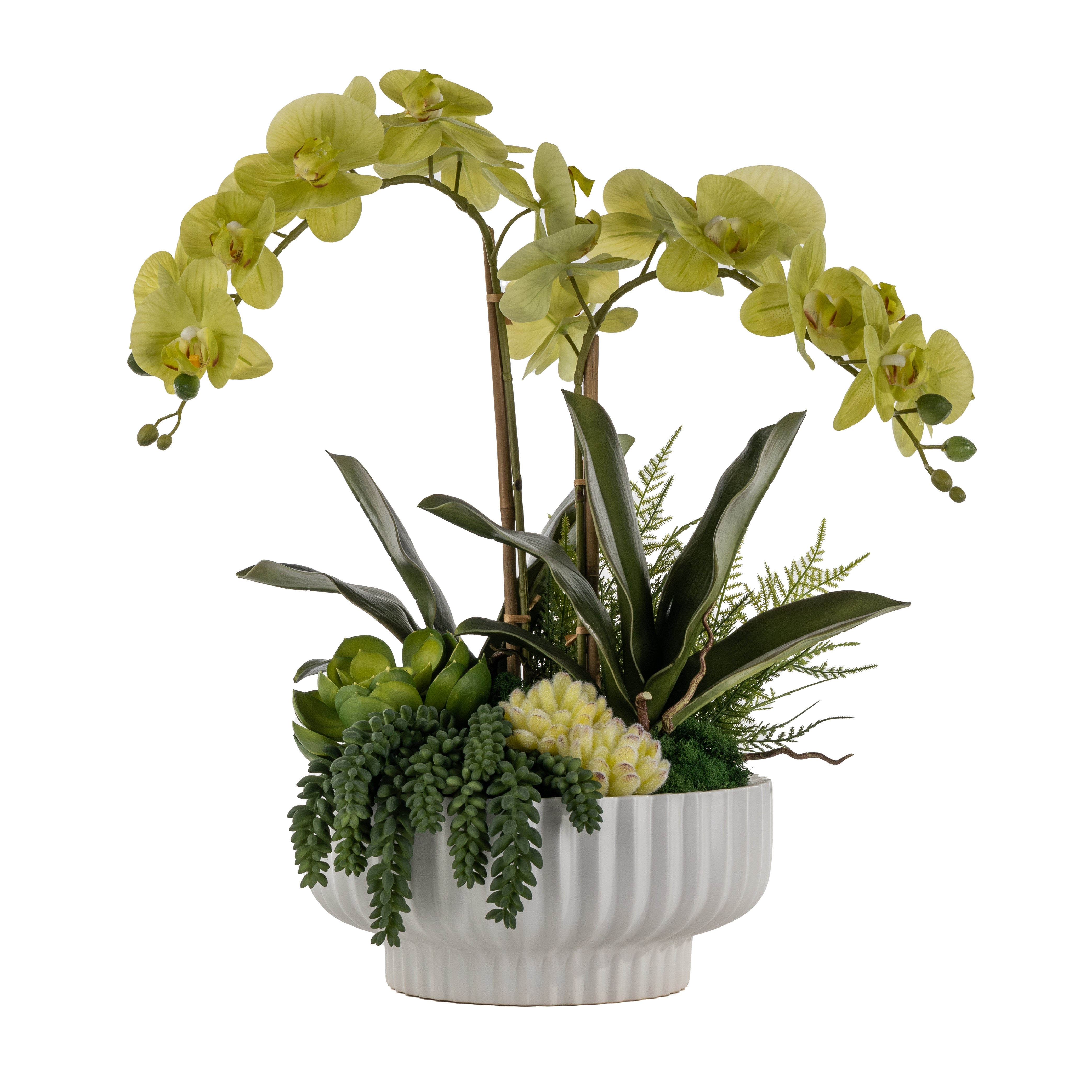 12" White Wally Bowl with Green Orchid Arrangement AR1587