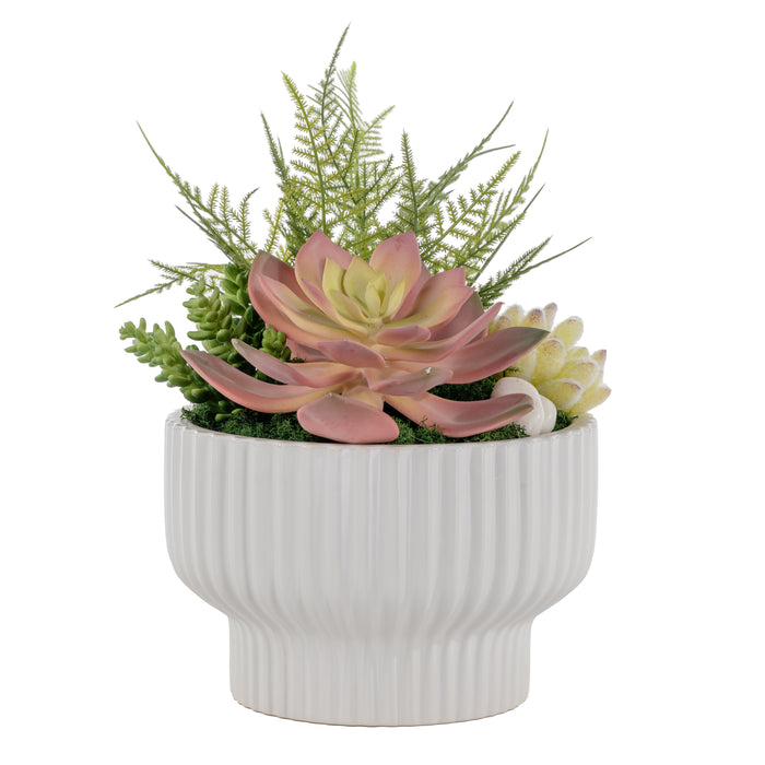 8" Wally Bowl with Succulents and Fern AR1588