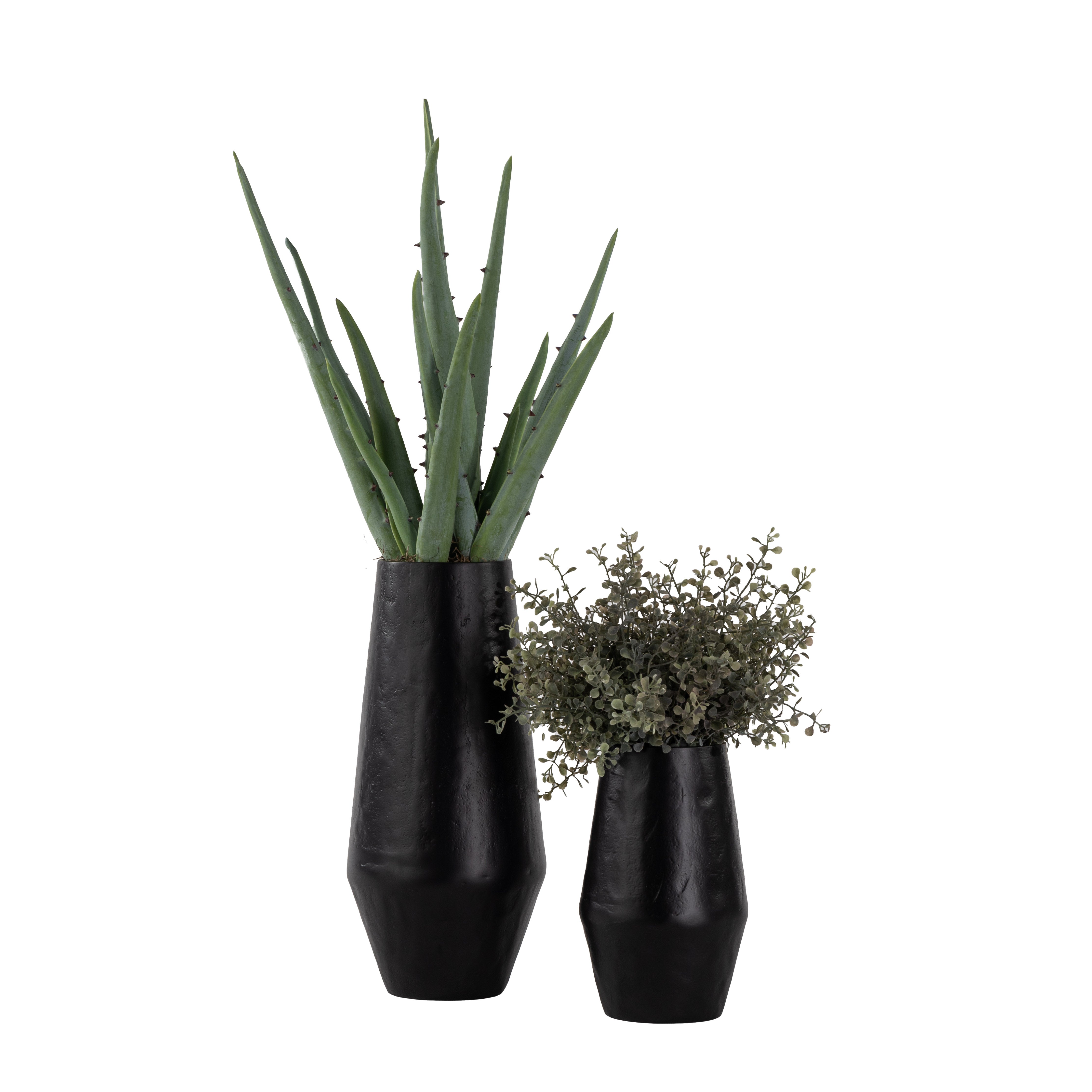 Aubrey Vase DUO with Aloe and Grass AR1592