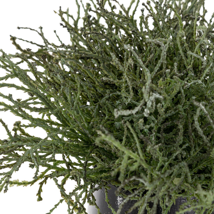 8" Aubrey Vase with Grass Bush AR1591