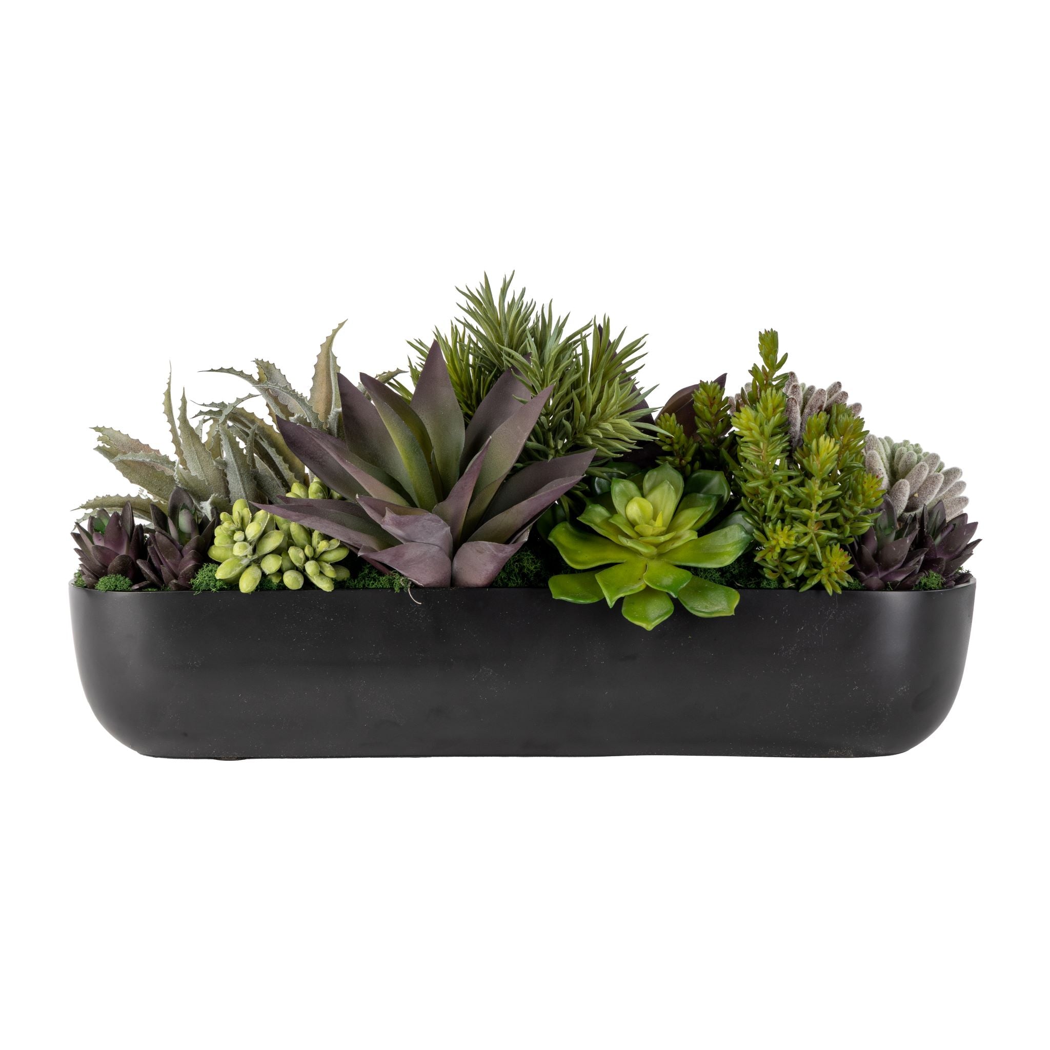 24” Olivia Metal Trough with Succulent Arrangement   AR1599