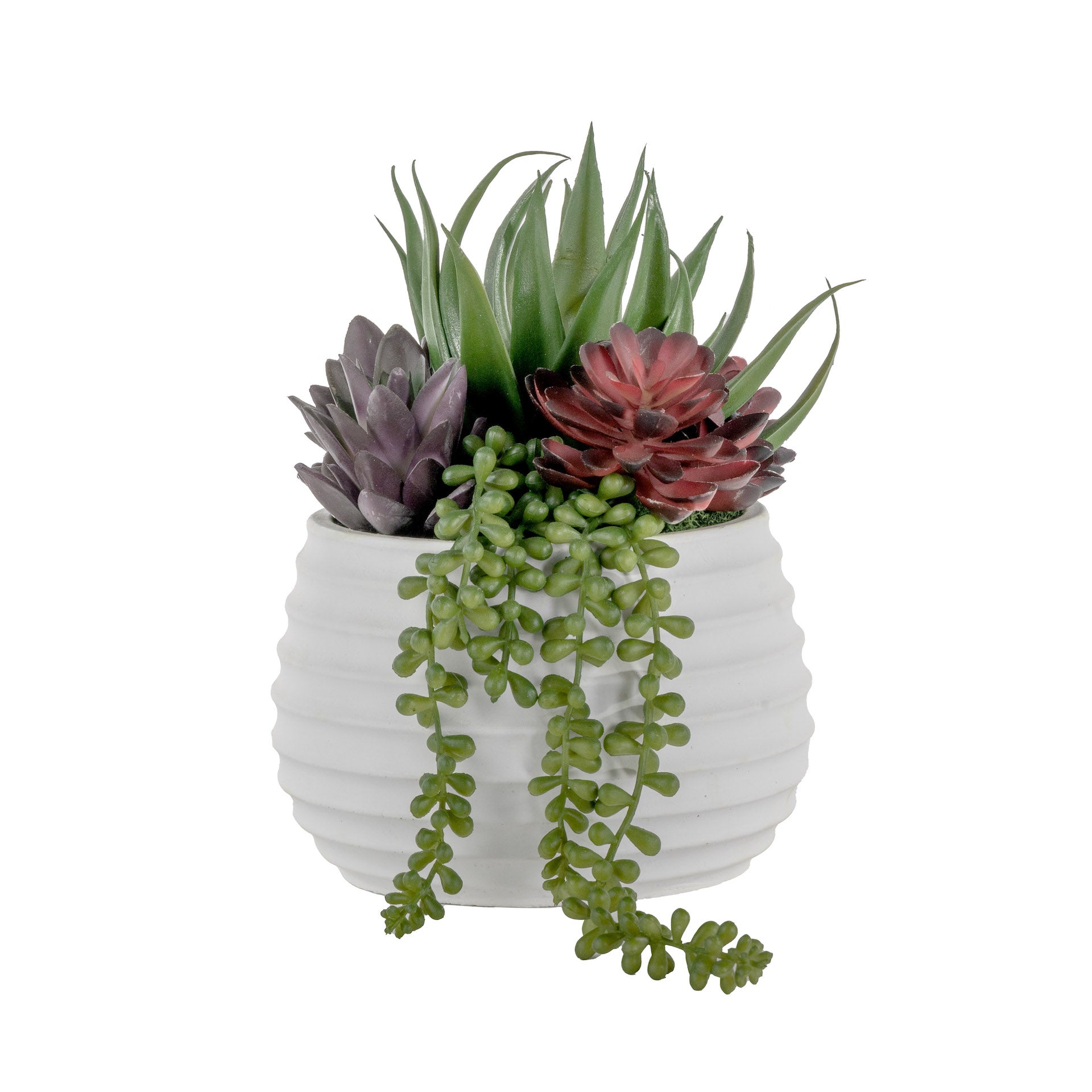 5" Zay Pot with Succulent Arrangement  AR1603