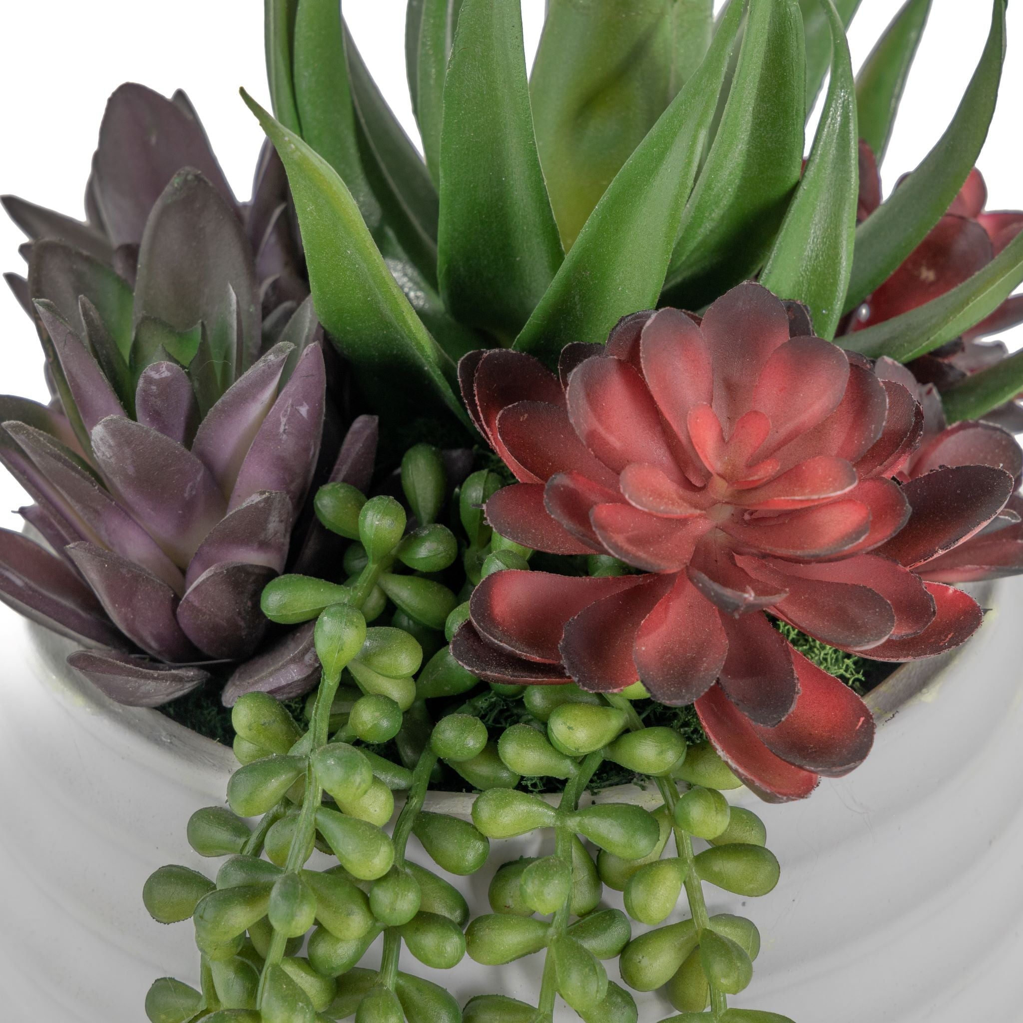 5" Zay Pot with Succulent Arrangement  AR1603