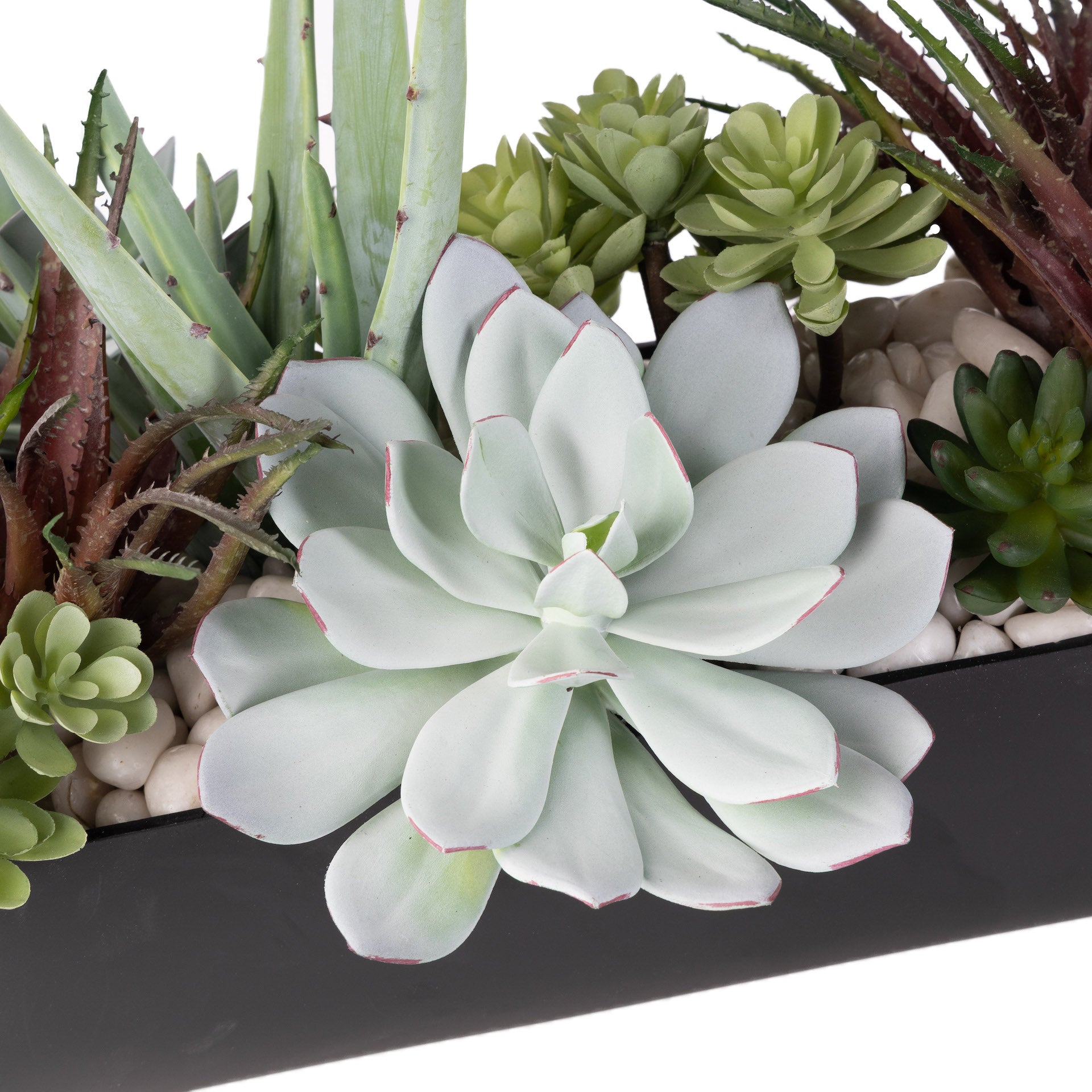 36” Olivia Metal Trough with Succulent Arrangement   AR1604