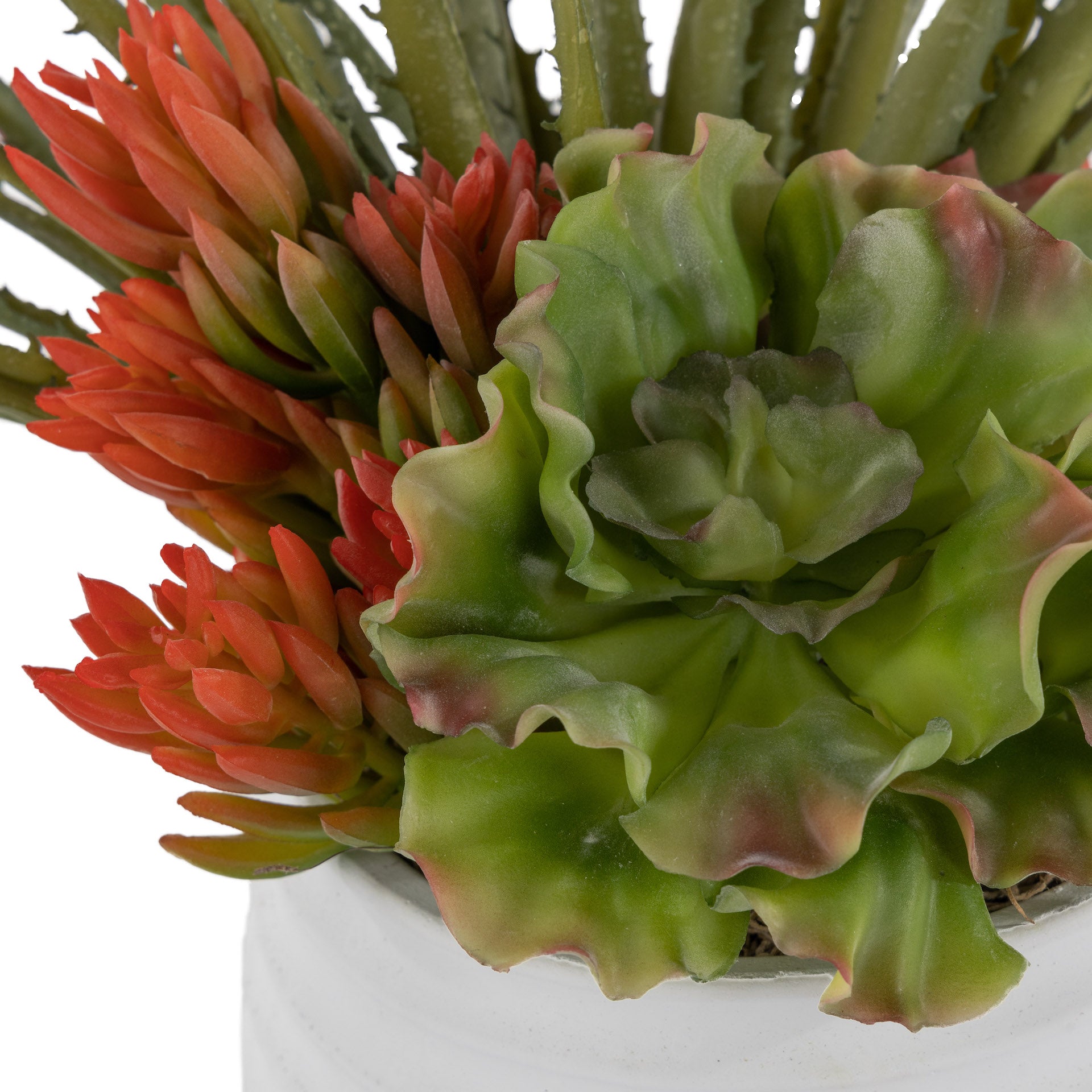 5" Zay Pot with Succulent Arrangement   AR1631