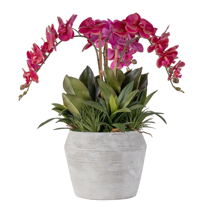 10" Grayson Pot with Orchid Arrangement   AR1637