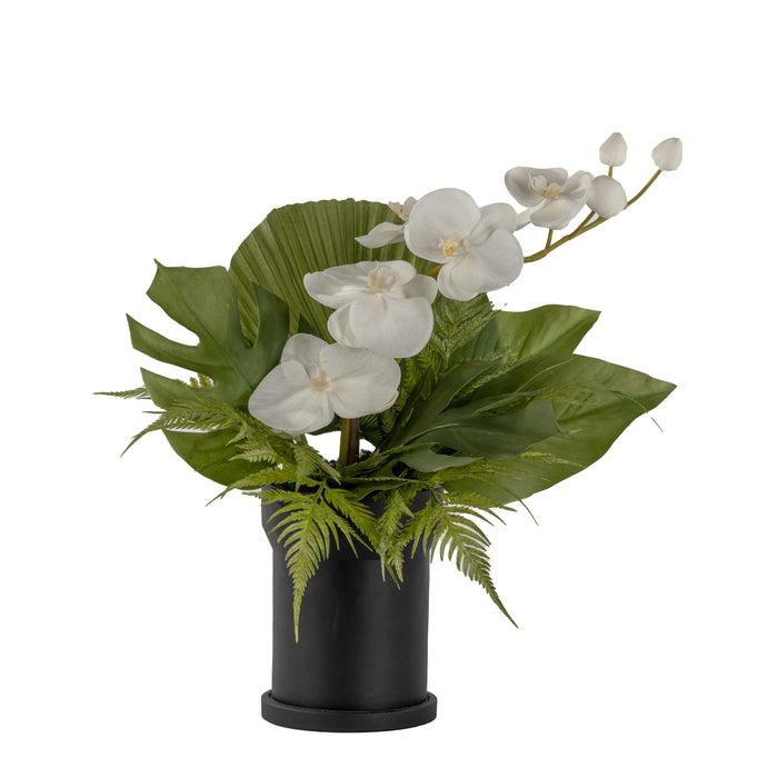 8" Black Rook Pot with Orchid Arrangement   AR1645