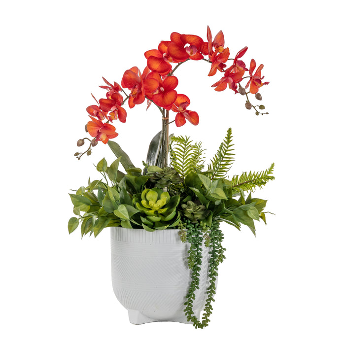 10" Winifred Pot with Orchid Arrangement   AR1653