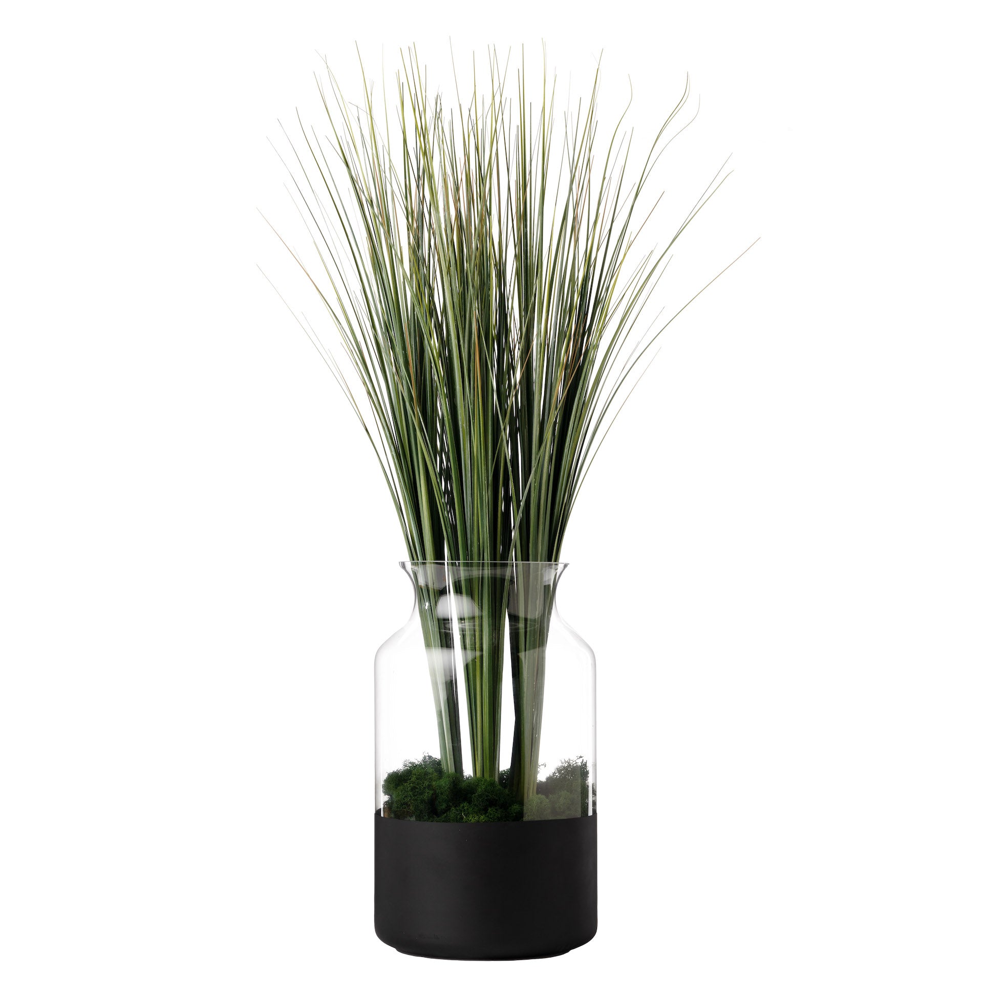 Poet Glass Vase Collection- Black       GL1030