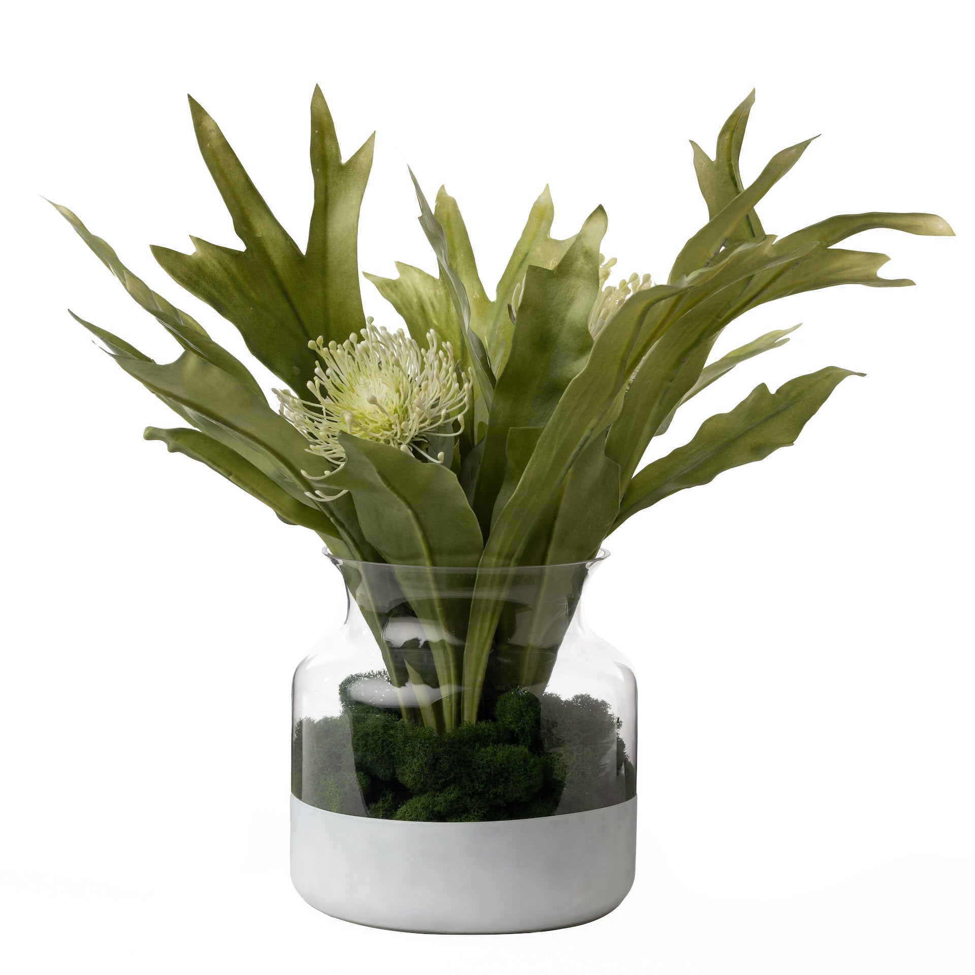 8.5" Poet Glass Vase with Staghorn Fern Arrangement   AR1660