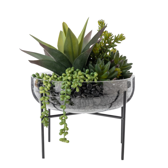 10.25" Sadie Glass Bowl with Succulent Arrangement   AR1662