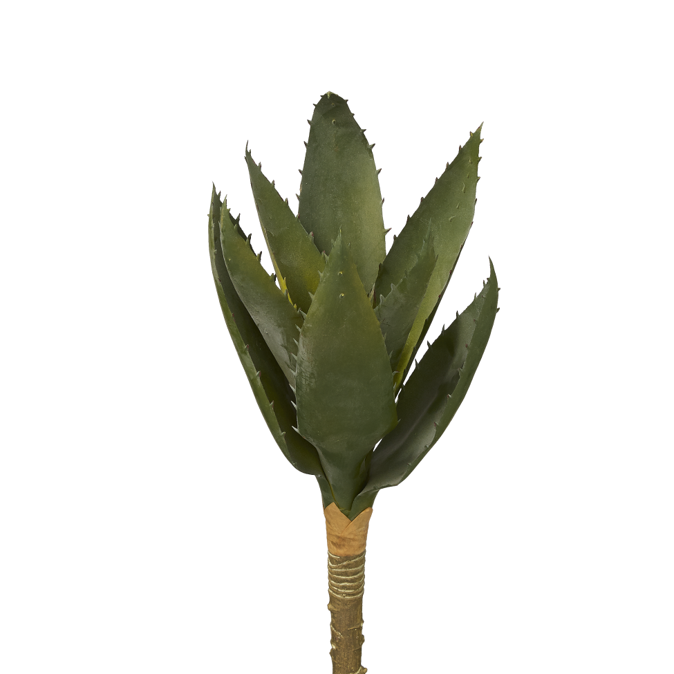 16" Aloe Stem   AV1004