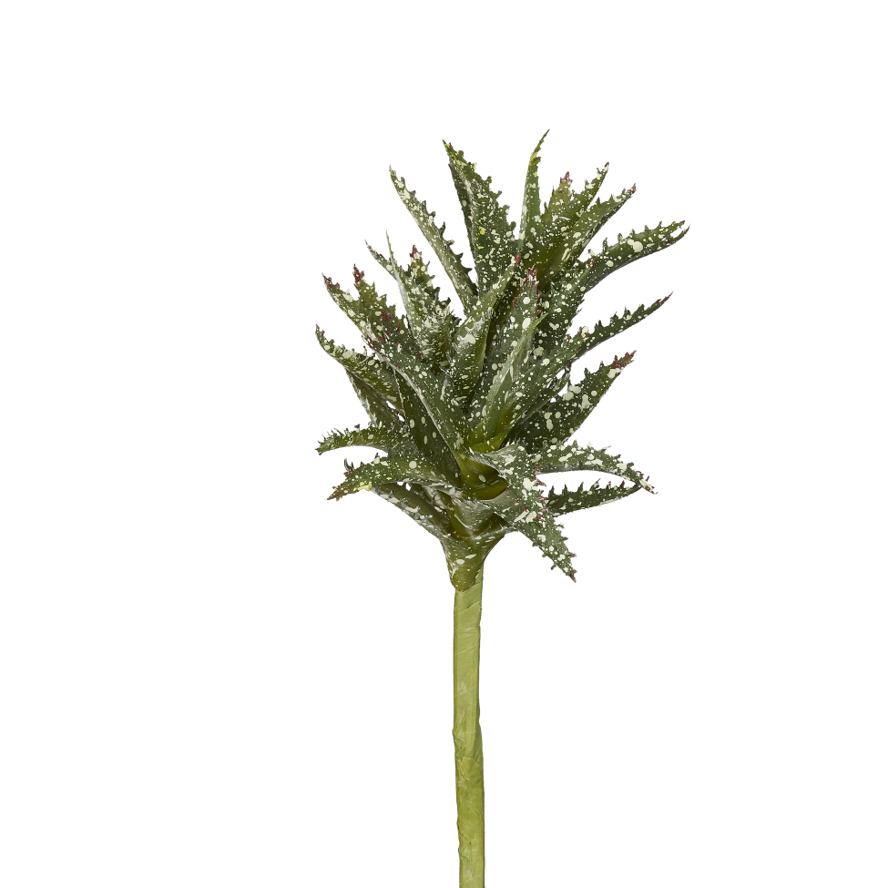 8" Aloe Stem Speckled-UV Treated  AV1005UV