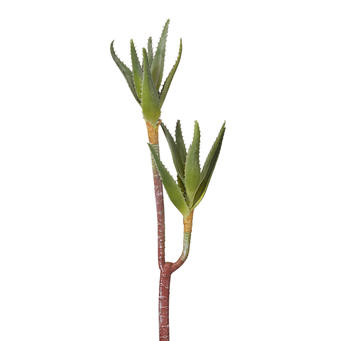 22" Aloe Stem-2 Heads AV1006