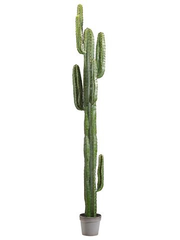 6.5' Cactus Tree    FP1073