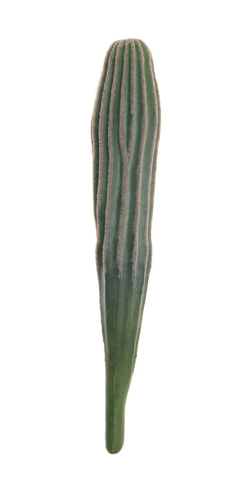 15" Cereus Cactus Stem CC1020
