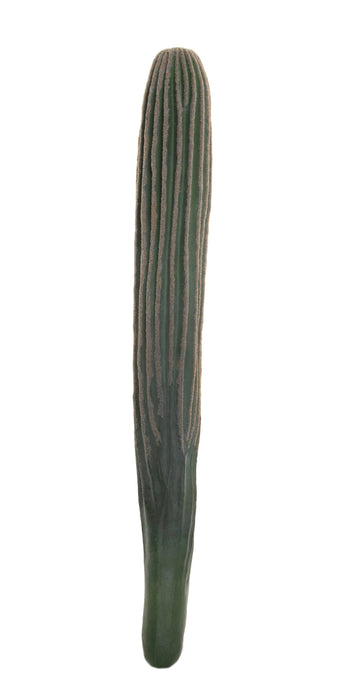 24" Cereus Cactus Stem CC1021