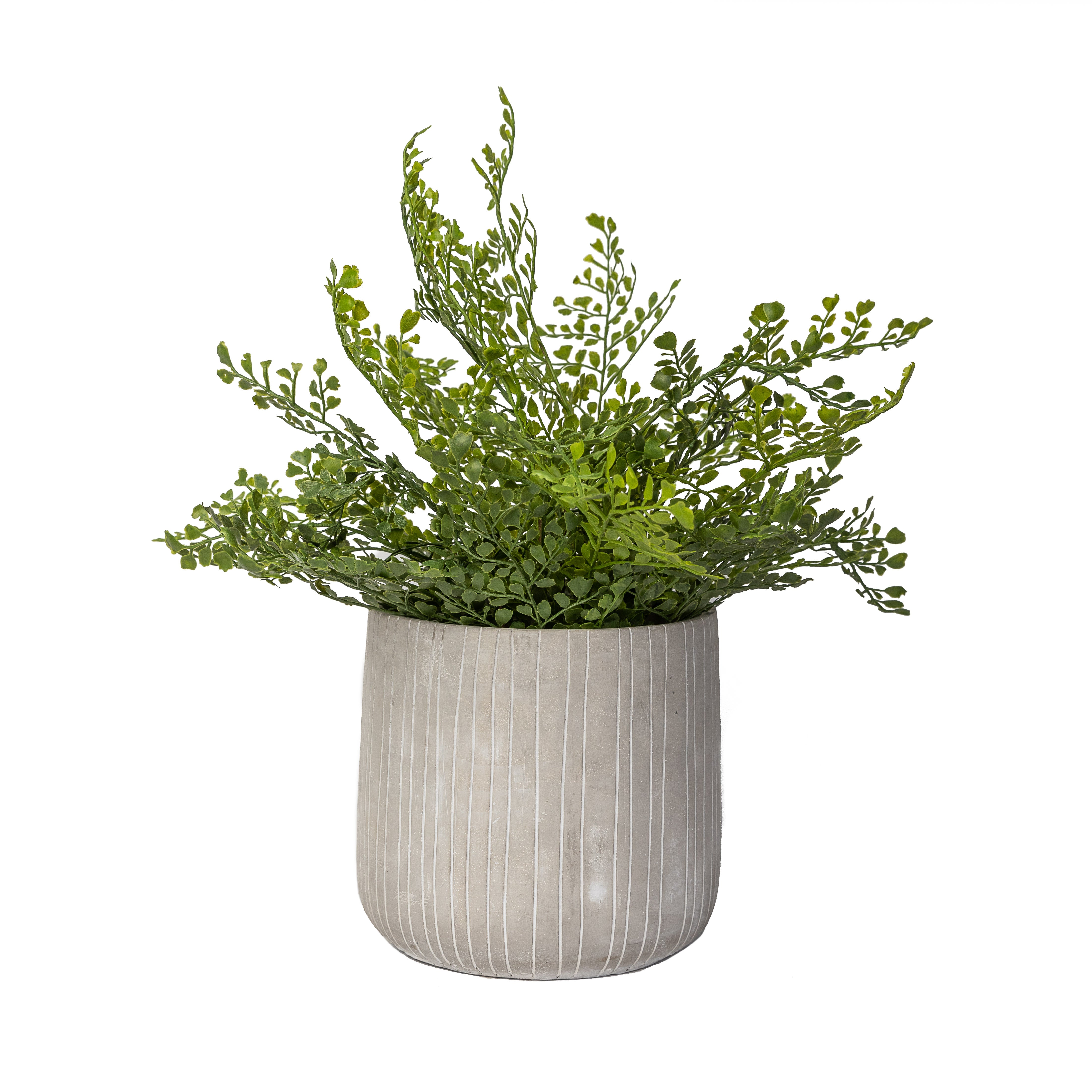 Sonora Pot Collection   CN1046