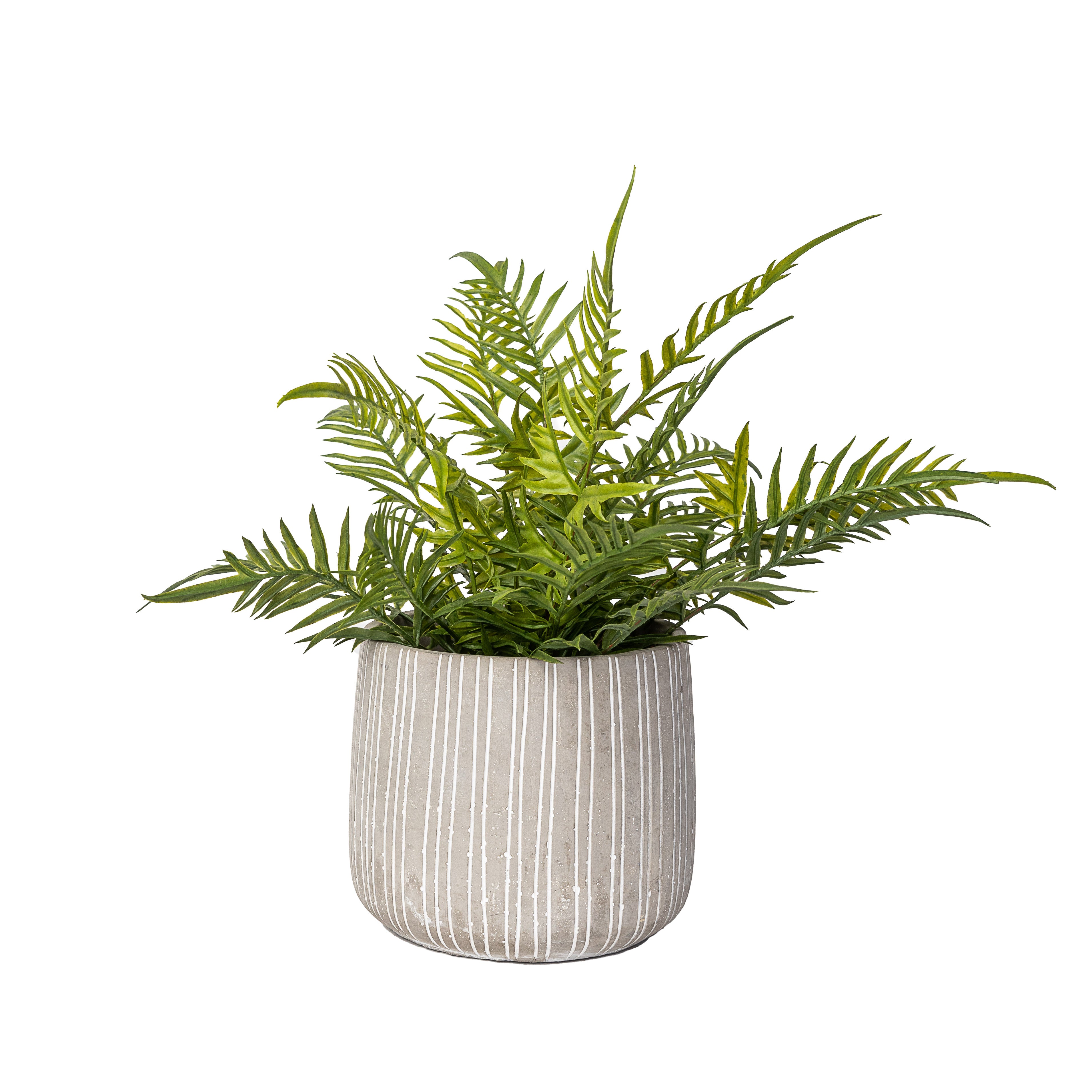 Sonora Pot Collection   CN1046