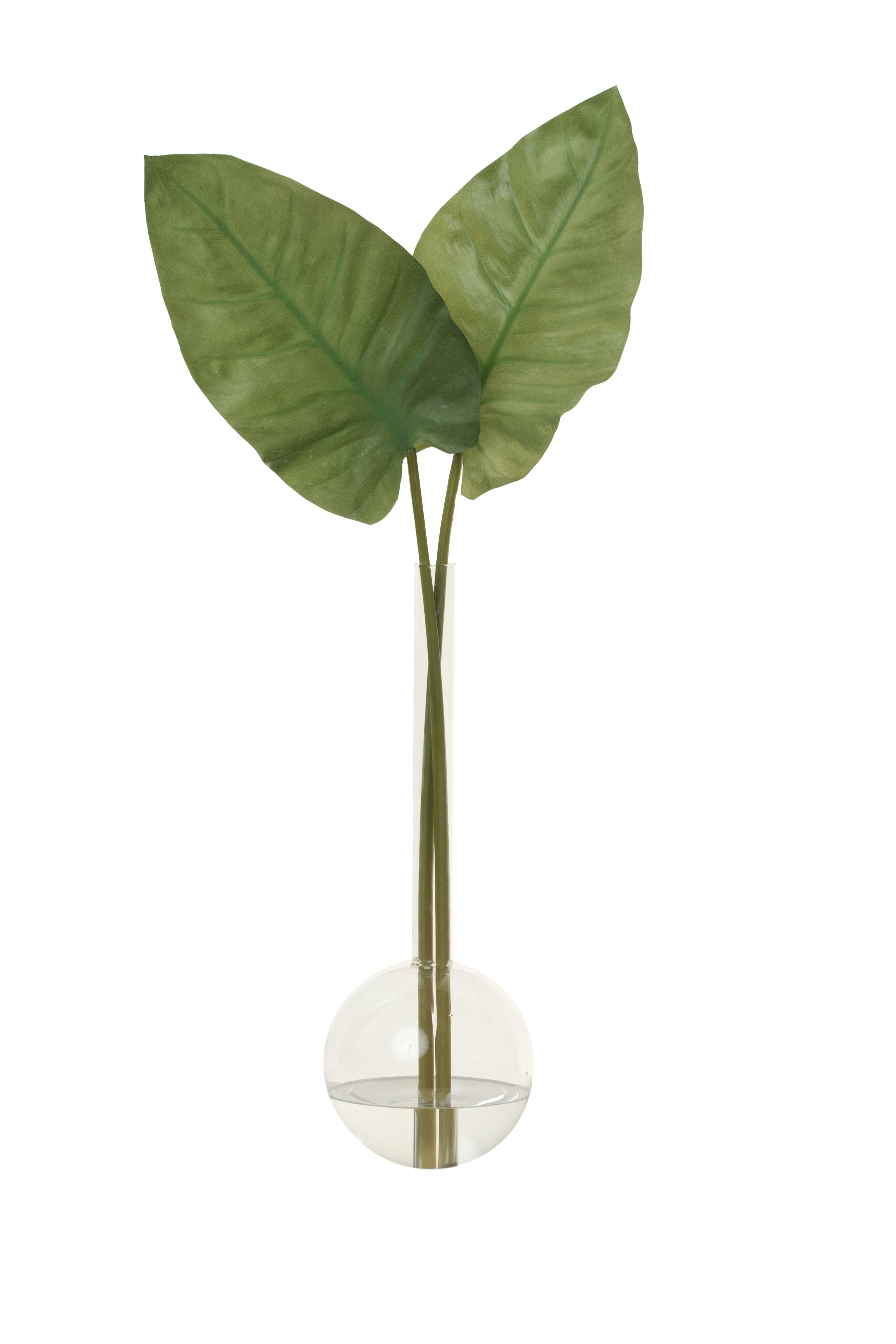 17” Bob a Loba Vase with Anthurium Leaves AR1614