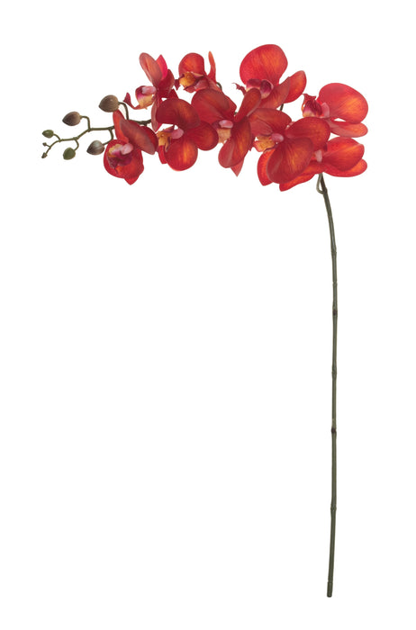 34" Real Touch Phalaenopsis- Orange   FL1018