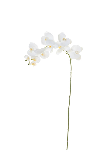 45” Phalaenopsis- White   FL1022