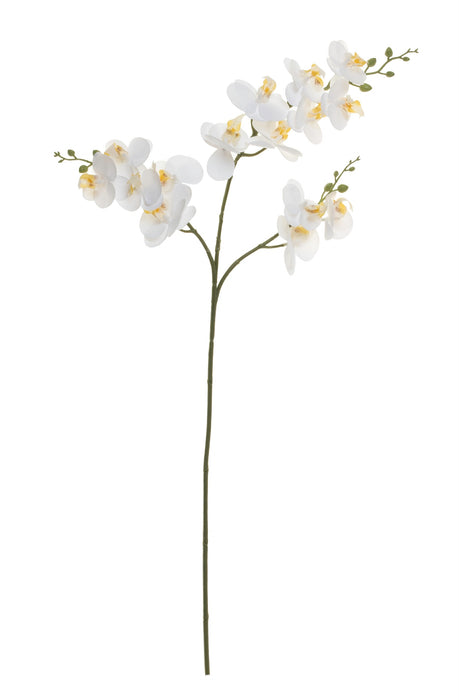 30" Real Touch Phalaenopsis- White   FL1024