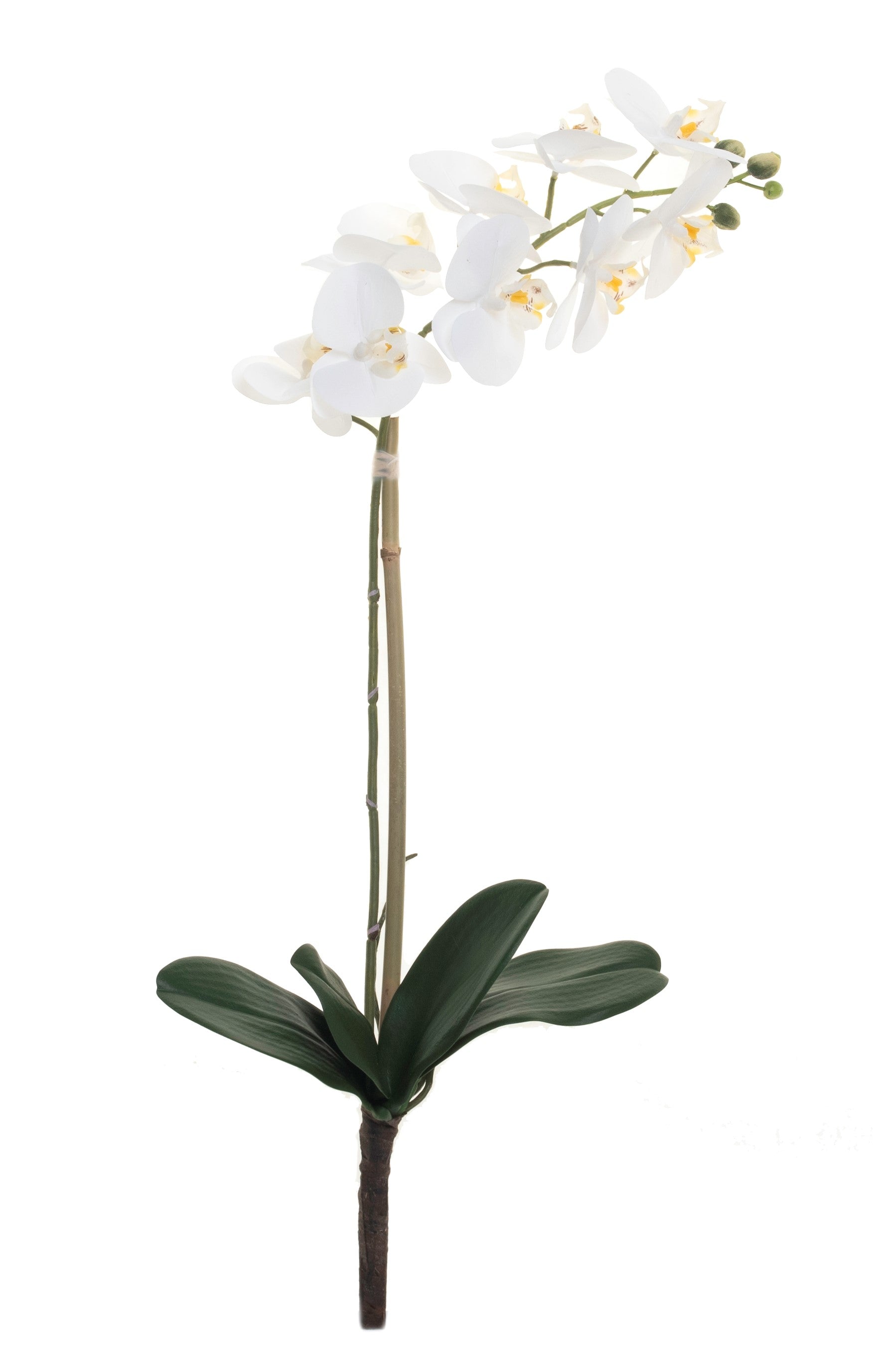 27" Real Touch Phalaenopsis- White     FL1026