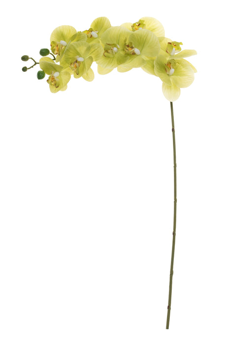 32" Real Touch Phalaenopsis Orchid-Green   FL1027