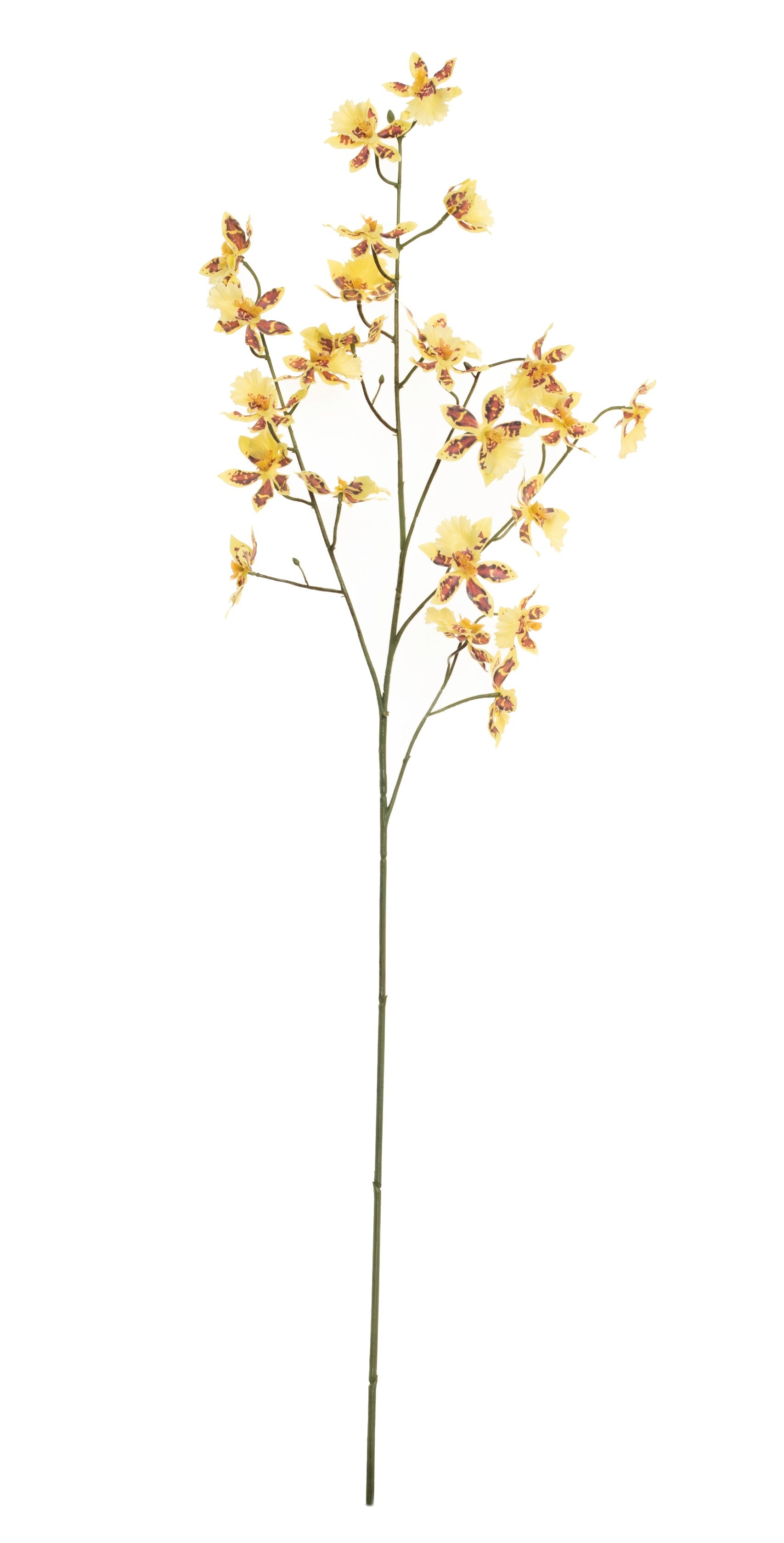 38" Oncidium Spray-Yellow  FL1028