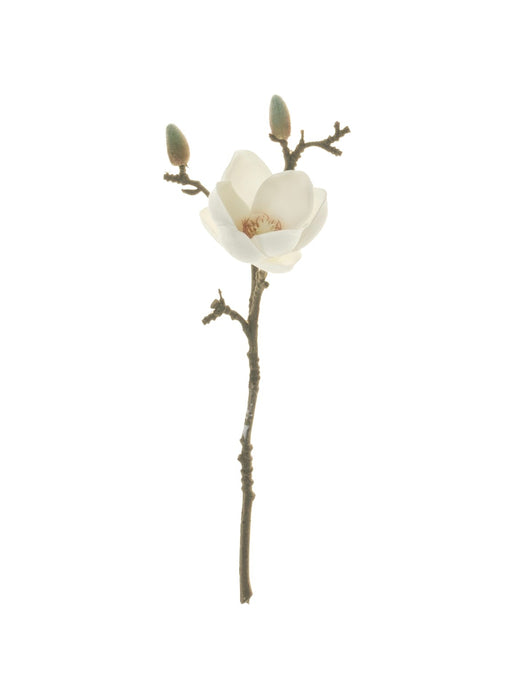 13" White Magnolia Stem   FL1042