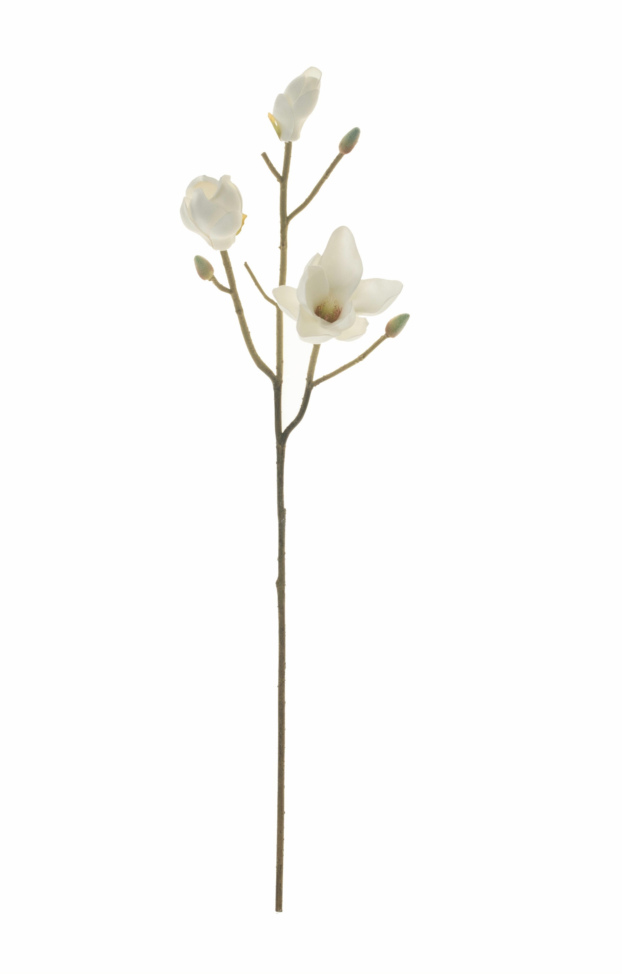 31" Magnolia Stem      FL1038