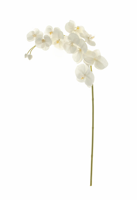 40 " Real Touch Phalaenopsis- White With Green Stem FL1040