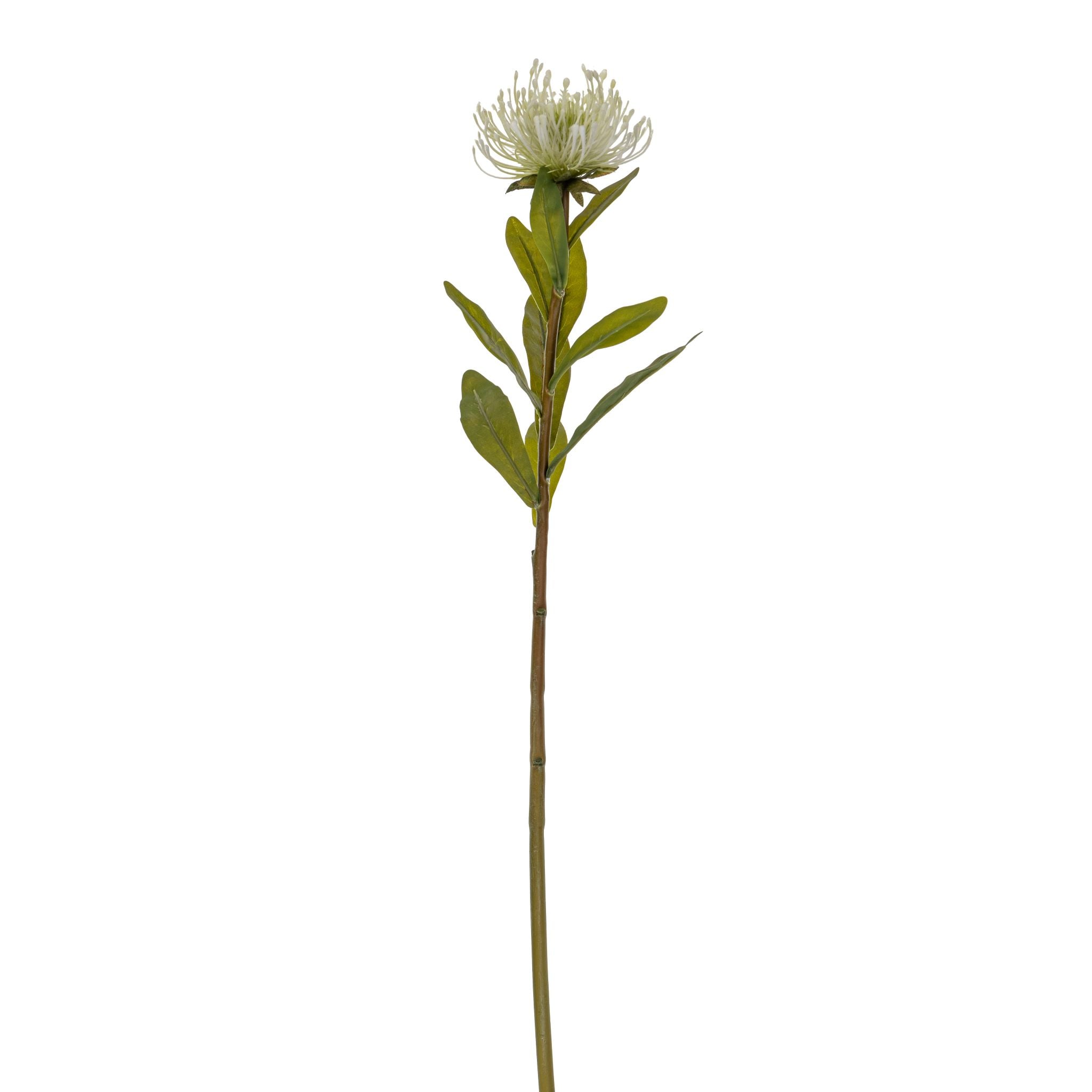 28" White Protea Stem   FL1045