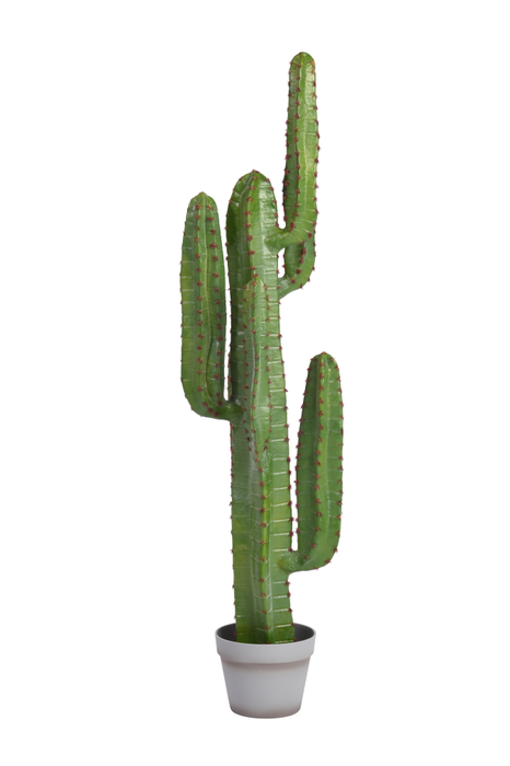 45" Cactus Tree    FP1071