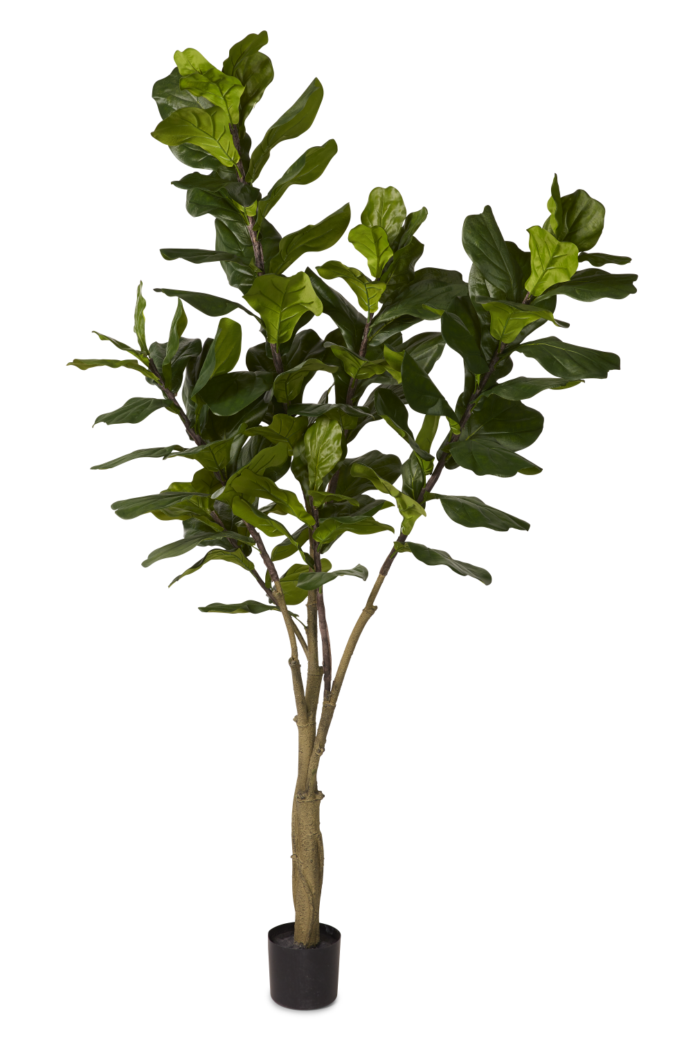 8' Fiddle Leaf Fig FP1084 – Replica Plants and Decor