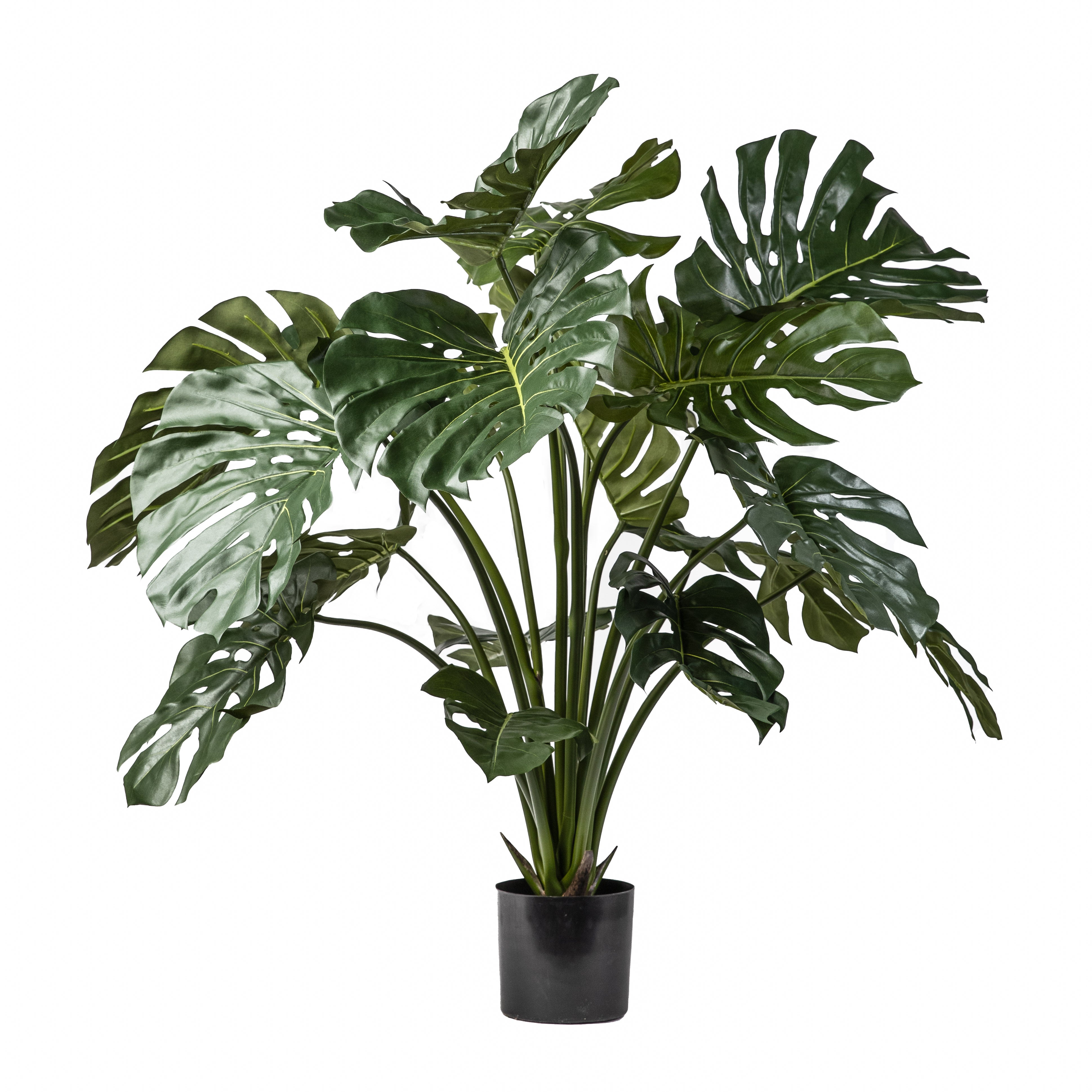 43" Monstera Plant     FP1180