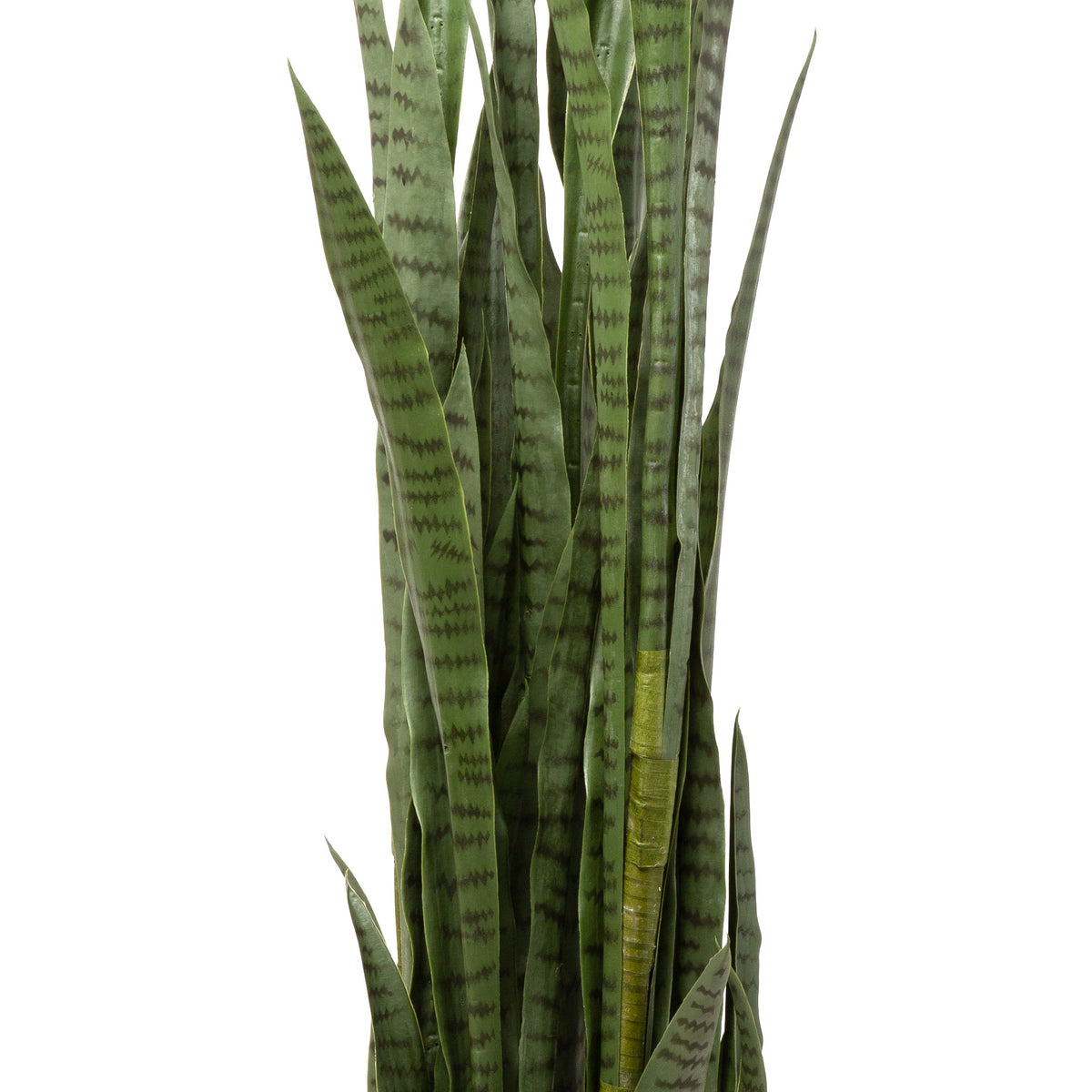 faux snake plant tall 5.5' Snake Plant FP1092