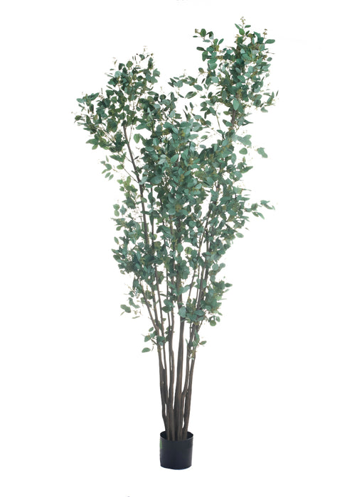 8' Eucalyptus Tree FP1113